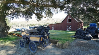 Barn/Bar