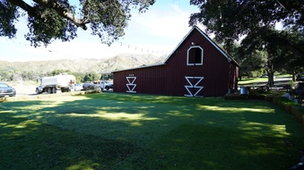 Enlarge photo 7