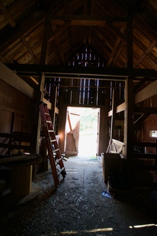Enlarge photo 38