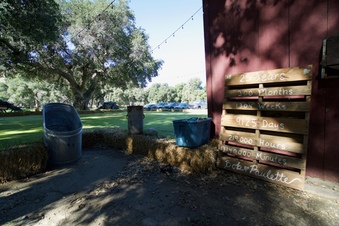 Enlarge photo 44