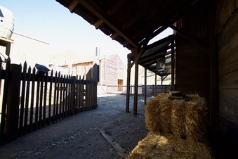 Enlarge photo 62