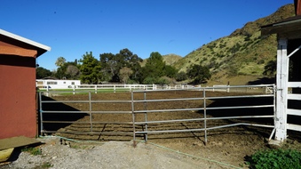 Enlarge photo 14