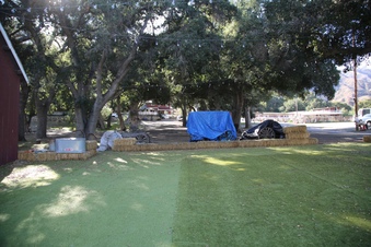 Enlarge photo 19