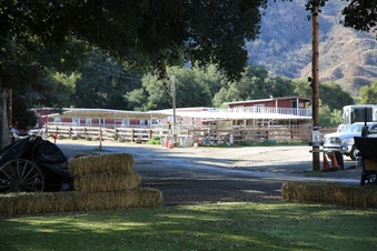Enlarge photo 22