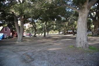 Enlarge photo 32