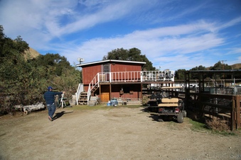 Enlarge photo 35