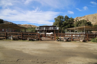 Enlarge photo 41
