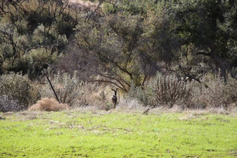 Enlarge photo 99