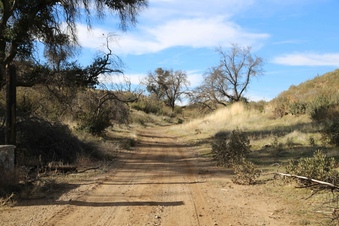 Enlarge photo 102