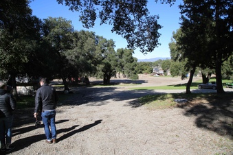 Enlarge photo 84