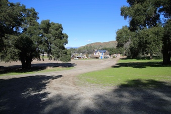 Enlarge photo 87