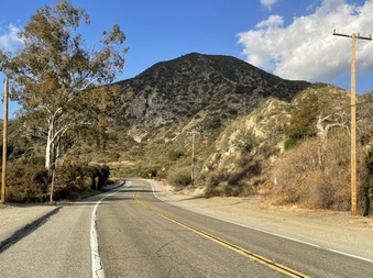 Enlarge photo 2