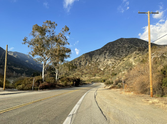 Enlarge photo 11