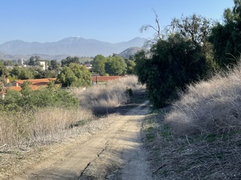 Enlarge photo 14