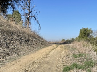 Enlarge photo 21