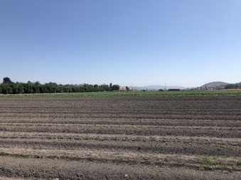 Enlarge photo 31