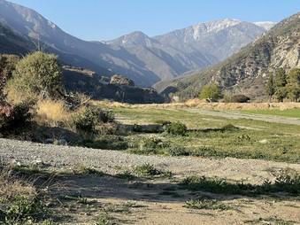 Enlarge photo 16