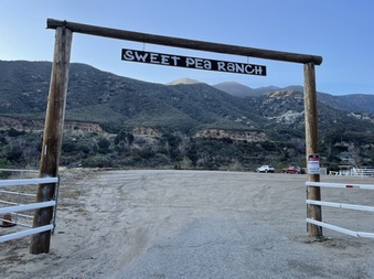 Sweet Pea Ranch