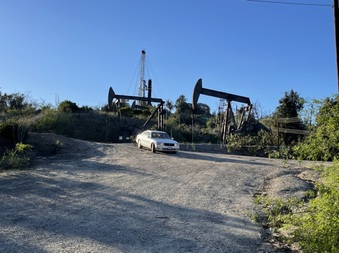 Enlarge photo 45