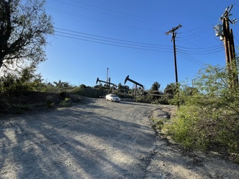 Enlarge photo 50