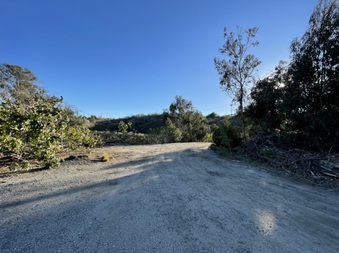Enlarge photo 18