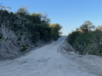 Enlarge photo 79