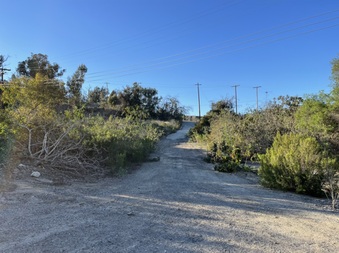Enlarge photo 51