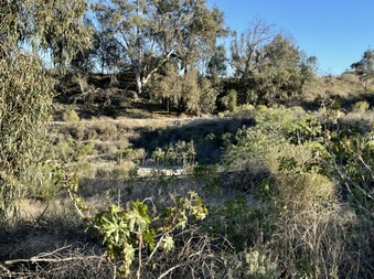 Enlarge photo 15