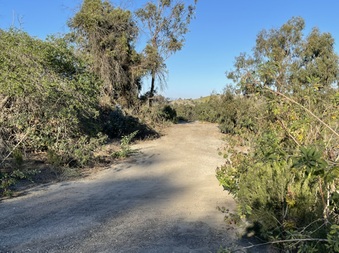 Enlarge photo 13