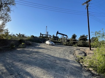 Enlarge photo 49