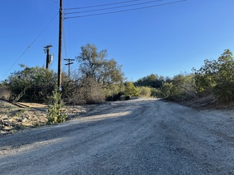 Enlarge photo 54