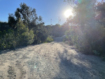 Enlarge photo 30