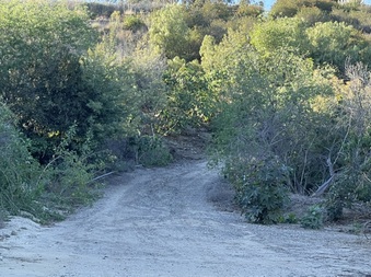 Enlarge photo 21