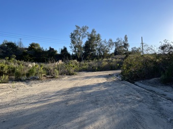 Enlarge photo 61