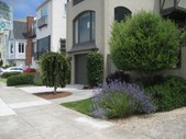 Enlarge photo 7
