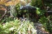 Enlarge photo 34