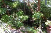 Enlarge photo 35