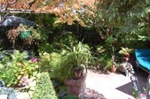 Enlarge photo 33