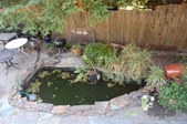 Enlarge photo 63