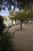 Enlarge photo 34