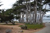 Enlarge photo 36