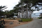 Enlarge photo 37