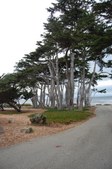 Enlarge photo 38