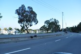 Enlarge photo 71