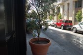 Enlarge photo 69