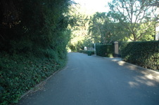 Enlarge photo 17