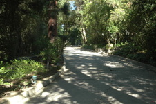 Enlarge photo 7