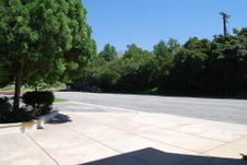 Enlarge photo 35