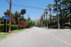 Enlarge photo 81