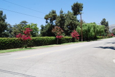 Enlarge photo 83